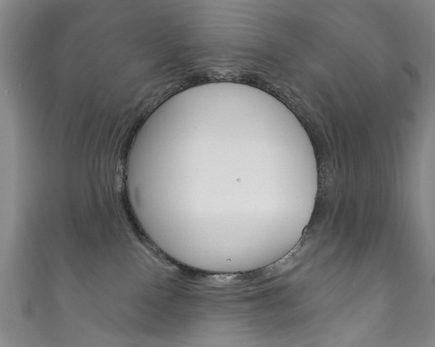 X0000111870090200907231200