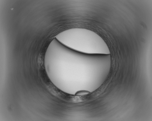 X0000111870091200907231200