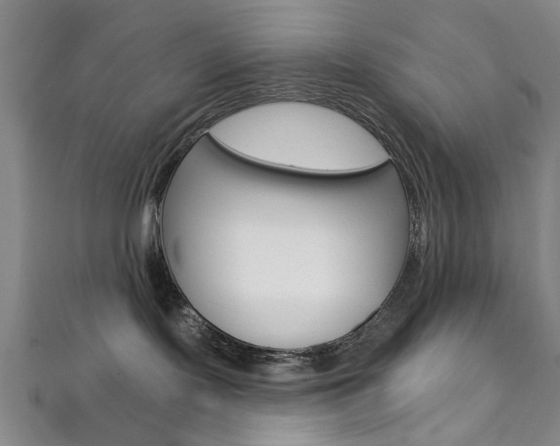 X0000111870095200907231200