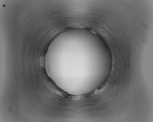 X0000111870096200907231200