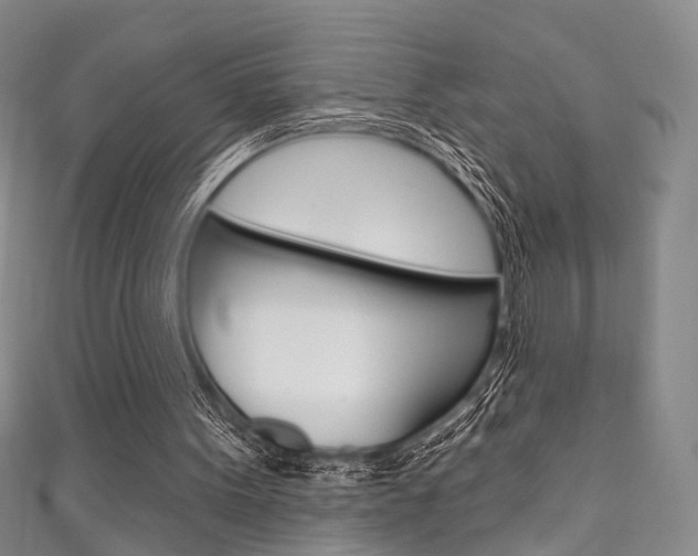 X0000111870099200907231159