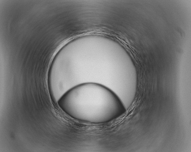 X0000111870100200907231159