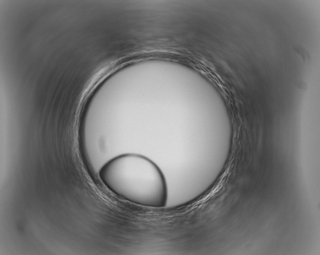X0000111870101200907231159