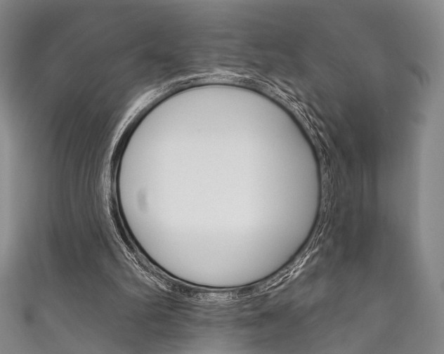 X0000111870102200907231159