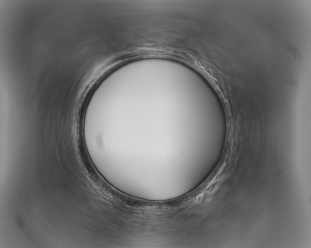 X0000111870103200907231159