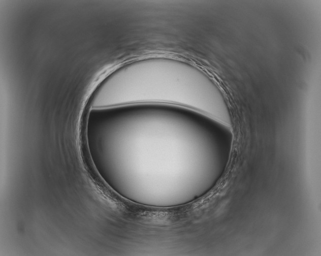 X0000111870104200907231159