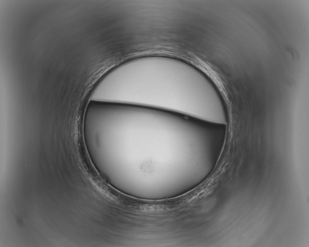 X0000111870105200907231159