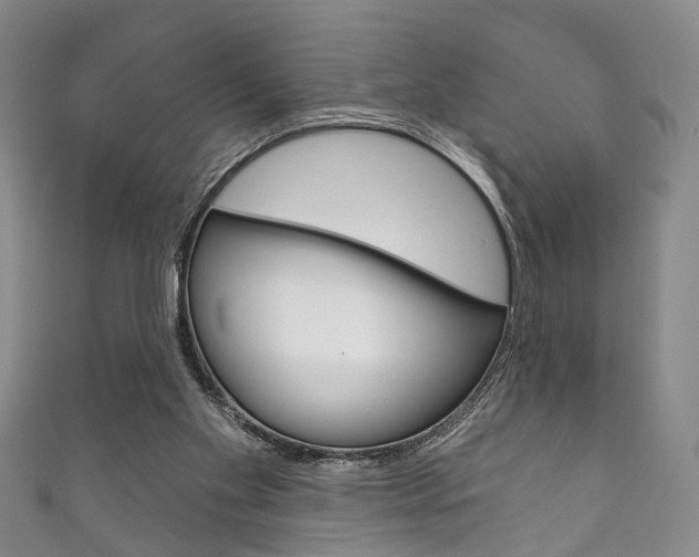 X0000111870109200907231159