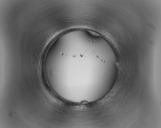 X0000111870112200907231159