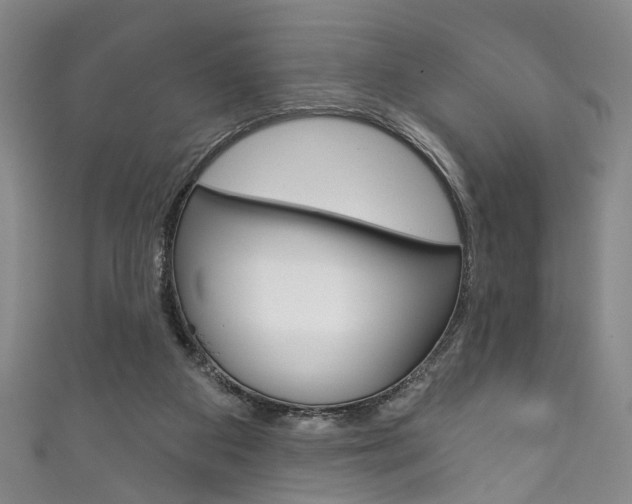 X0000111870113200907231159