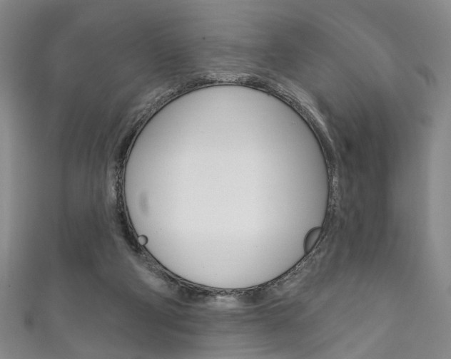X0000111870114200907231159