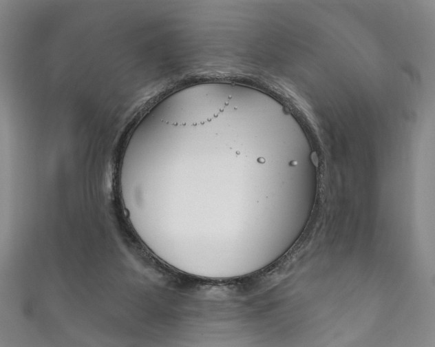 X0000111870115200907231159
