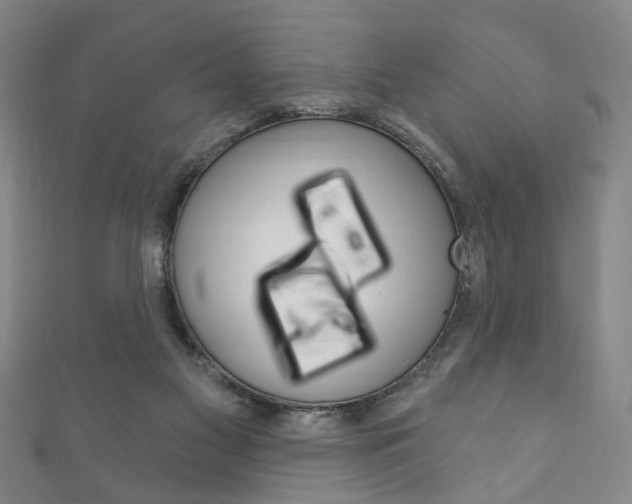 X0000111870117200907231159