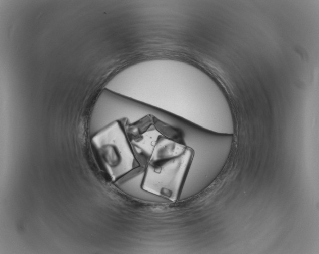 X0000111870121200907231159