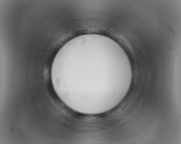 X0000111870123200907231159