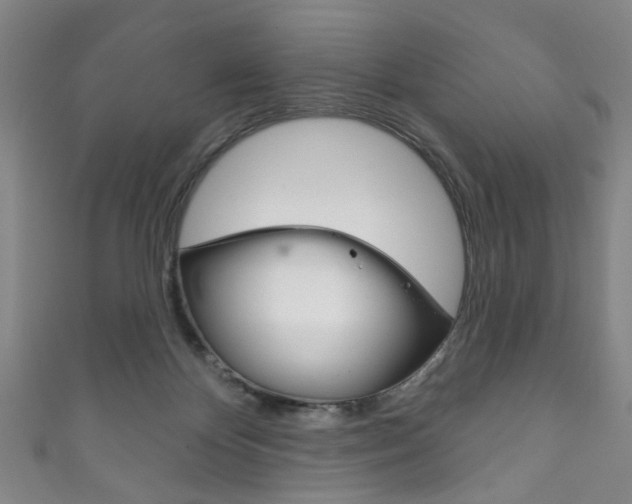 X0000111870124200907231159