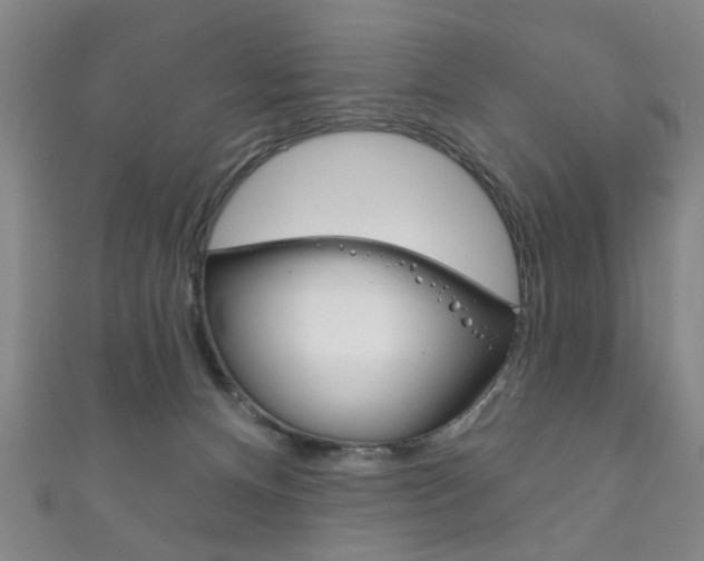 X0000111870128200907231159