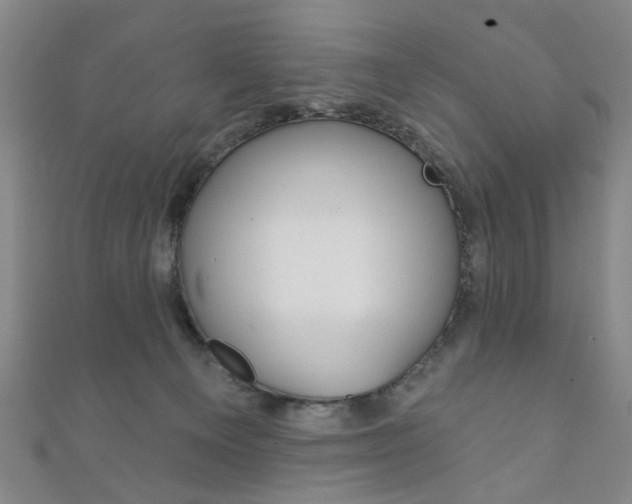 X0000111870129200907231159