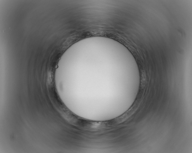 X0000111870130200907231159