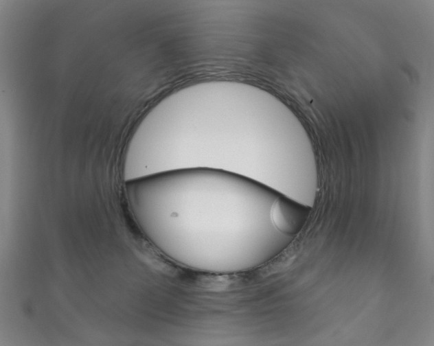 X0000111870131200907231159
