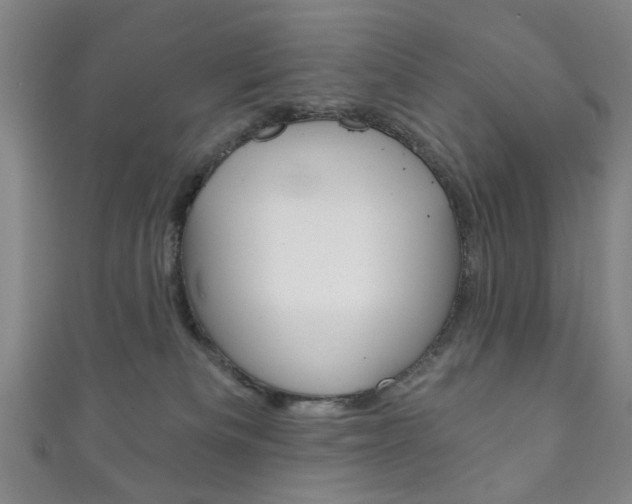 X0000111870133200907231159