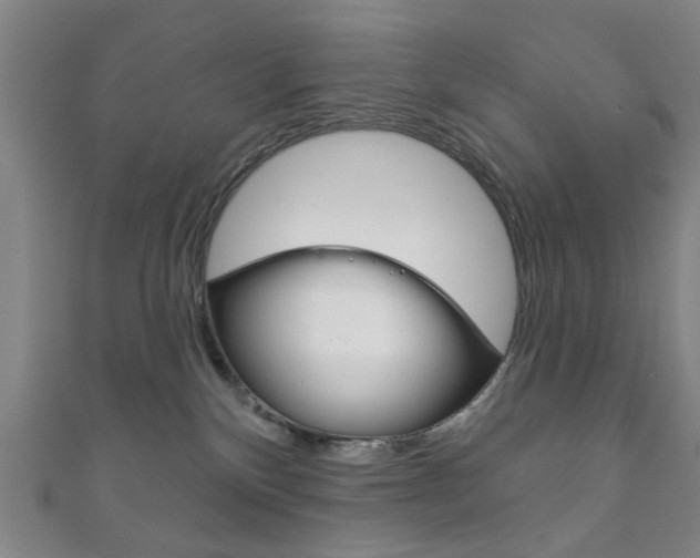X0000111870136200907231159