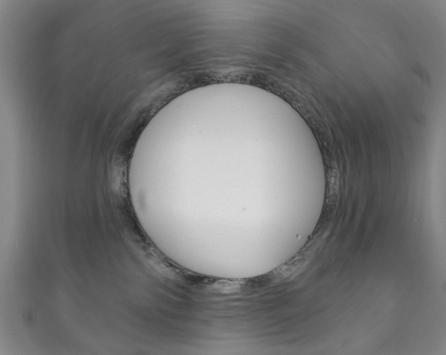 X0000111870138200907231159