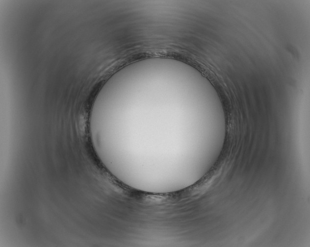 X0000111870139200907231159