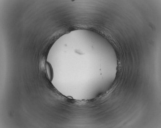 X0000111870143200907231159