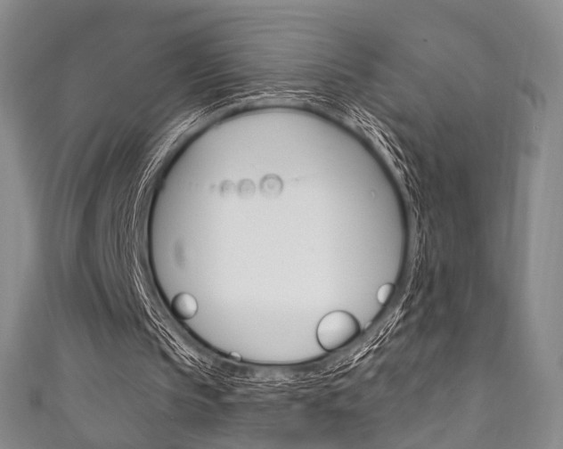 X0000111870145200907231158
