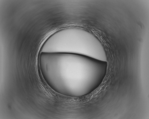 X0000111870148200907231158