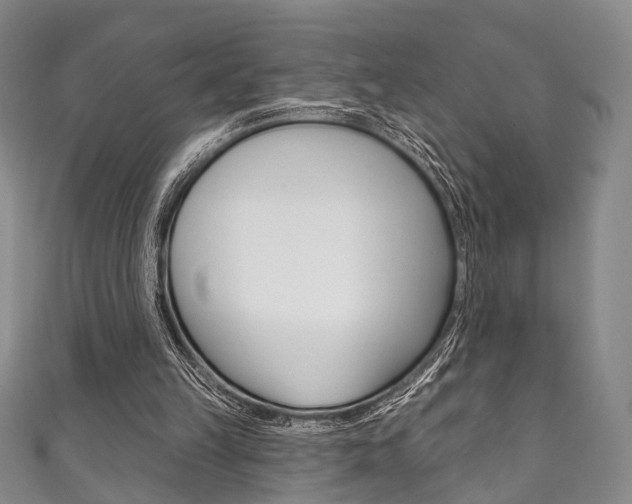 X0000111870149200907231158