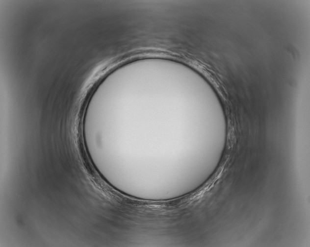 X0000111870151200907231158