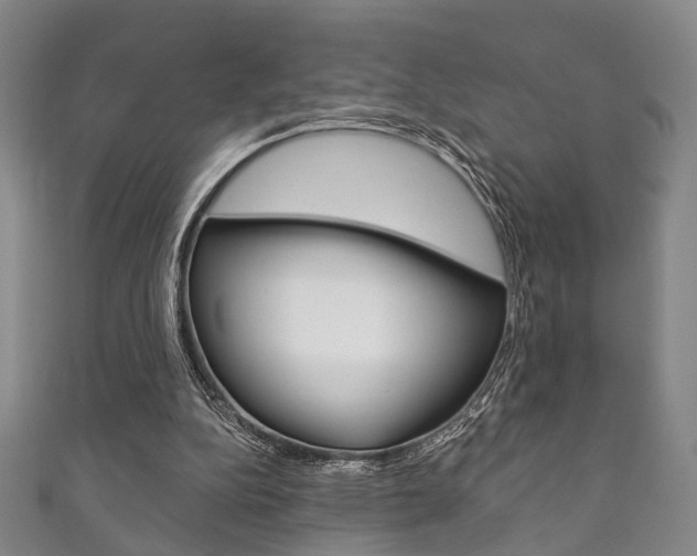 X0000111870152200907231158