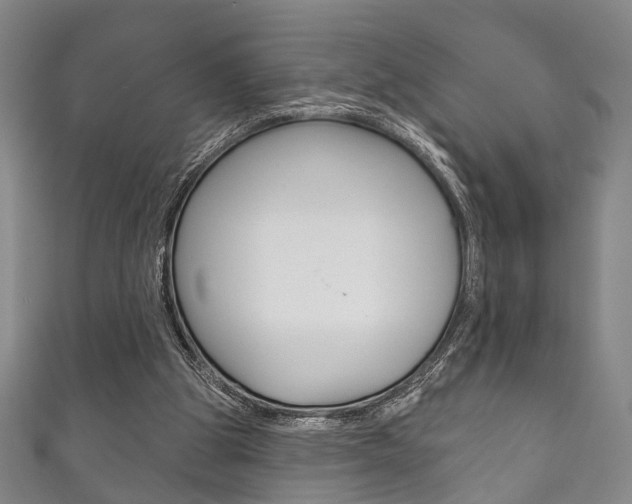 X0000111870153200907231158