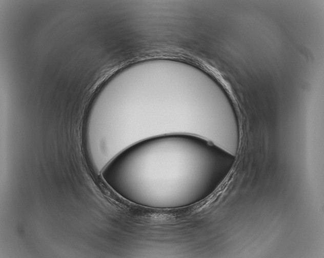 X0000111870154200907231158