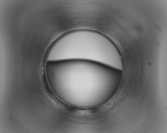 X0000111870160200907231158