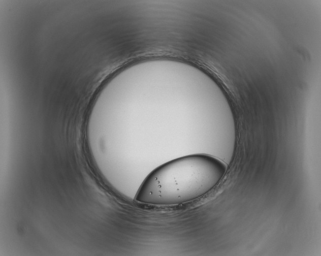 X0000111870164200907231158