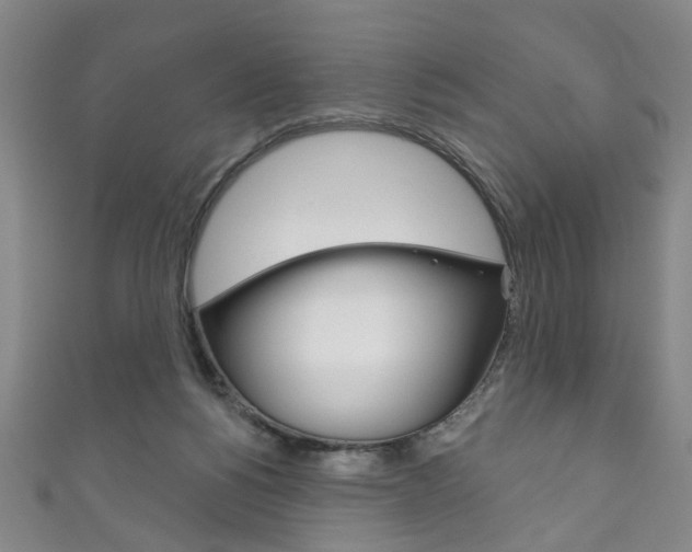 X0000111870168200907231158