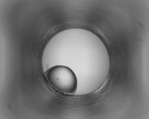 X0000111870170200907231158