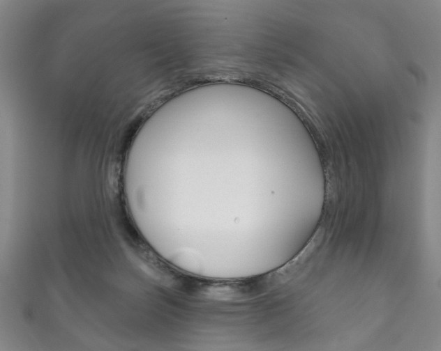 X0000111870171200907231158