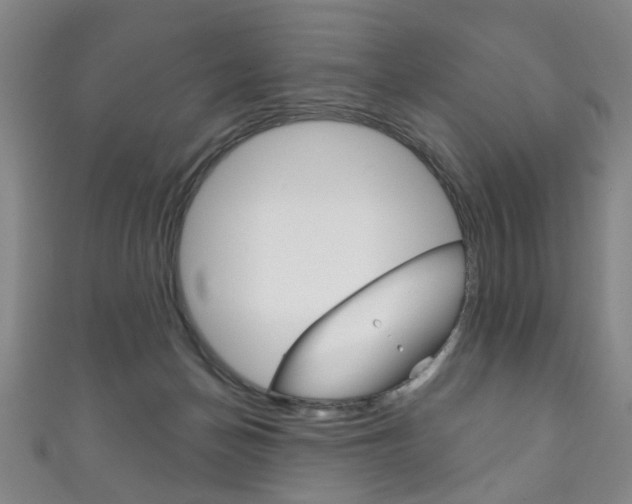 X0000111870174200907231158