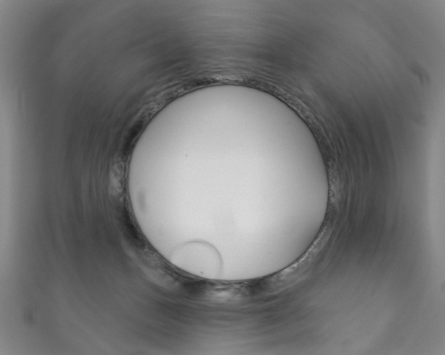 X0000111870175200907231158