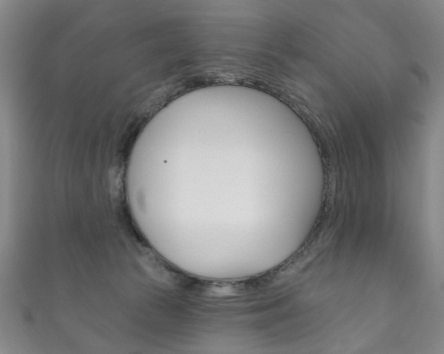X0000111870177200907231158