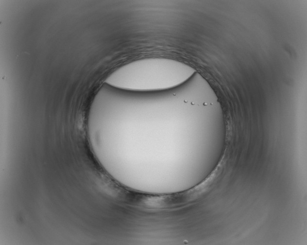 X0000111870178200907231158