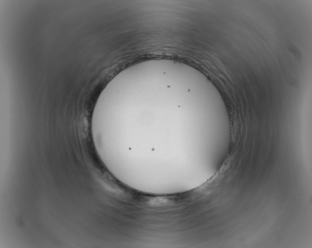 X0000111870183200907231158
