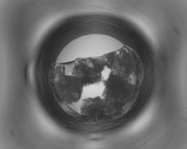 X0000111870189200907231159