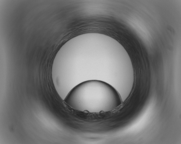 X0000111870190200907231159