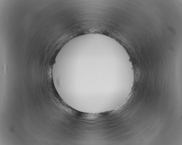 X0000111870191200907231159