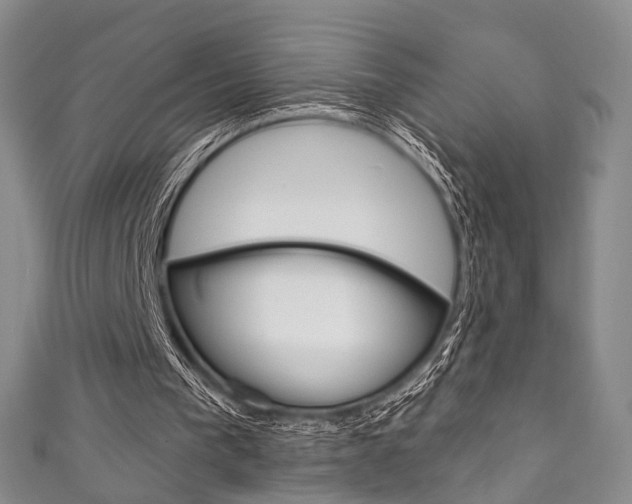 X0000111870193200907231158